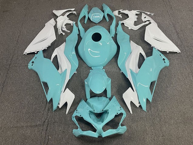 Aqua 19-23 Kawasaki ZX6R Verkleidung